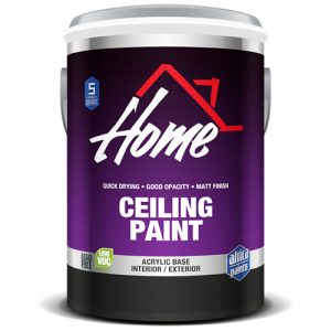 Ceiling Paint