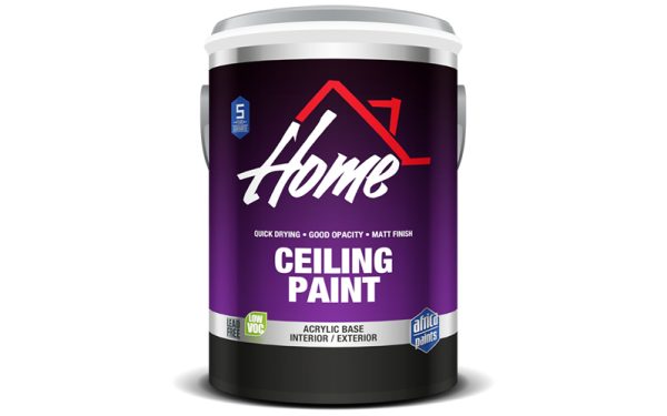 Ceiling Paint