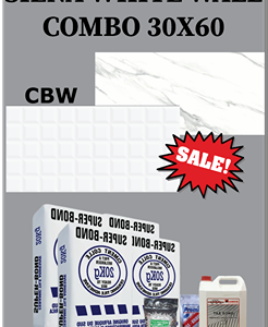Siena White Wall Combo 30x60